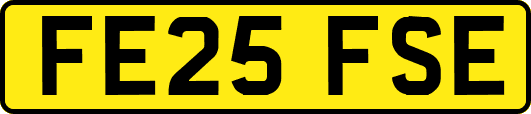 FE25FSE
