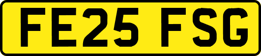 FE25FSG