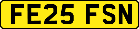 FE25FSN