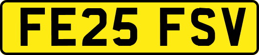 FE25FSV