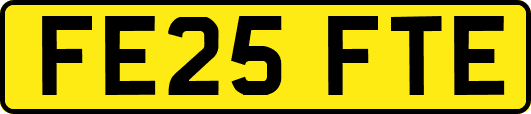 FE25FTE