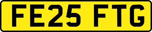 FE25FTG
