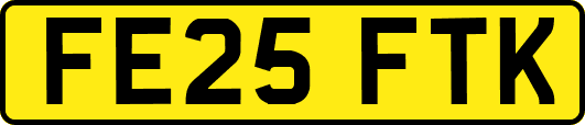 FE25FTK