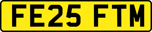 FE25FTM