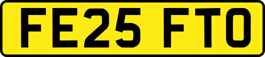 FE25FTO