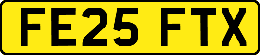 FE25FTX