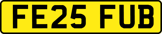 FE25FUB