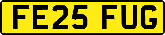 FE25FUG