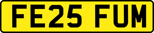 FE25FUM