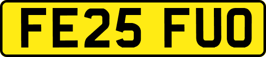FE25FUO