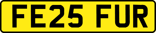 FE25FUR