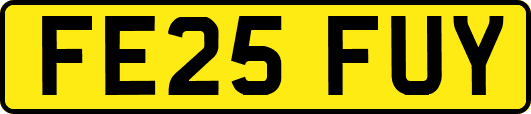FE25FUY
