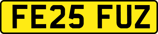 FE25FUZ