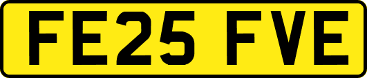 FE25FVE