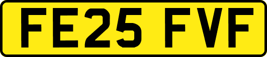 FE25FVF