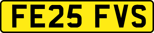 FE25FVS