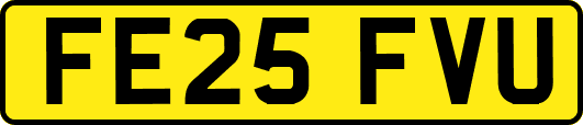 FE25FVU