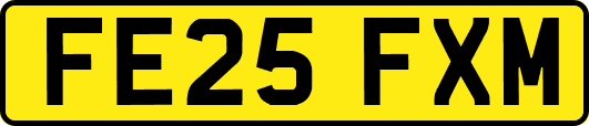 FE25FXM