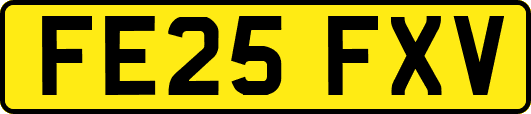 FE25FXV