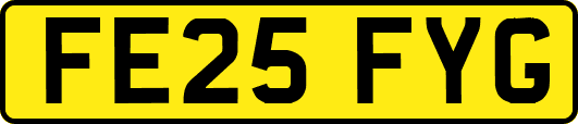FE25FYG