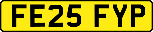 FE25FYP