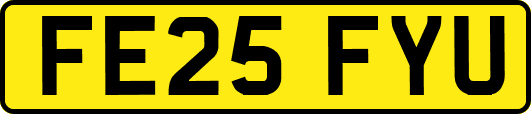 FE25FYU