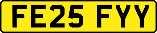FE25FYY