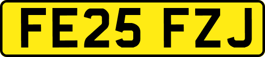 FE25FZJ