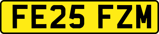 FE25FZM