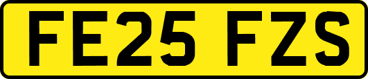 FE25FZS