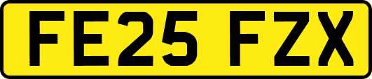 FE25FZX