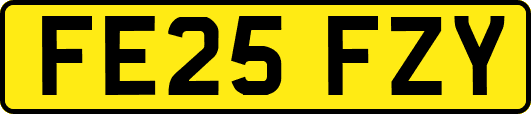 FE25FZY