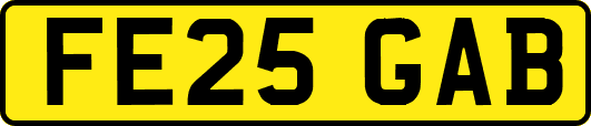 FE25GAB