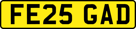 FE25GAD