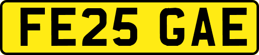 FE25GAE
