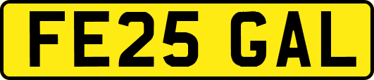 FE25GAL