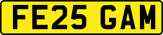 FE25GAM