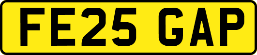 FE25GAP