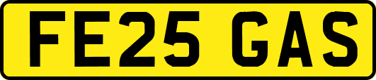 FE25GAS