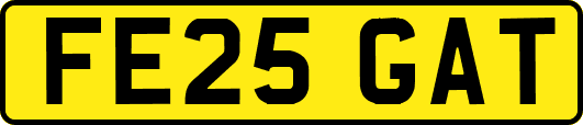 FE25GAT