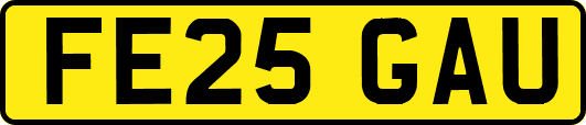 FE25GAU