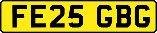 FE25GBG