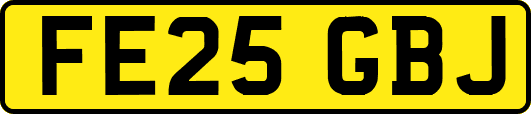 FE25GBJ