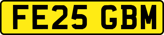 FE25GBM
