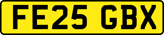 FE25GBX