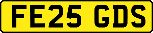 FE25GDS