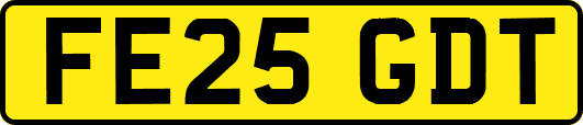 FE25GDT