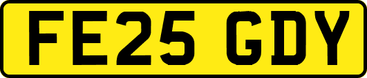FE25GDY