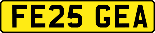 FE25GEA