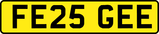 FE25GEE